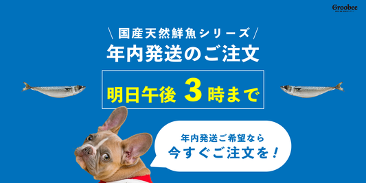 📣国産天然鮮魚シリーズ｜年内発送の最終注文は明日午後3時まで！