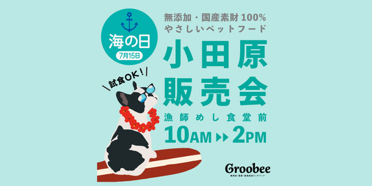 「海の日」は小田原で試食販売会！