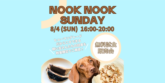 【初出店！】Nook Nook Sunday@平塚