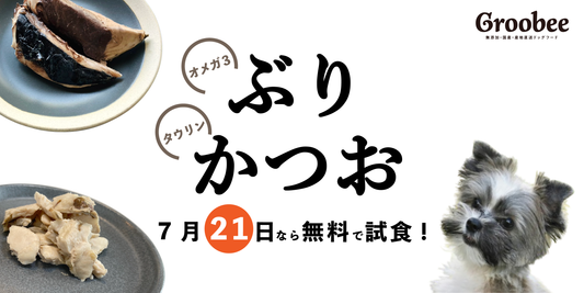 今週末はブリ＆カツオが無料試食できます！