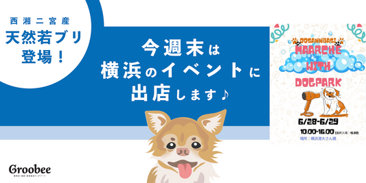 「大さん橋マルシェ with ドッグパーク」に初出店✨