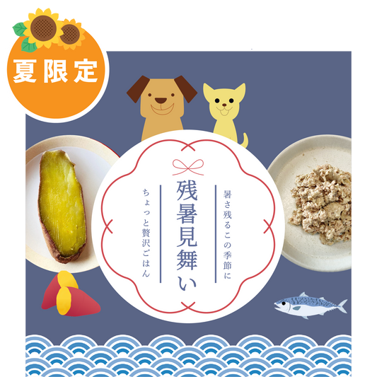【数量限定】Groobee🎐残暑見舞い天然魚〜2025年ver.〜