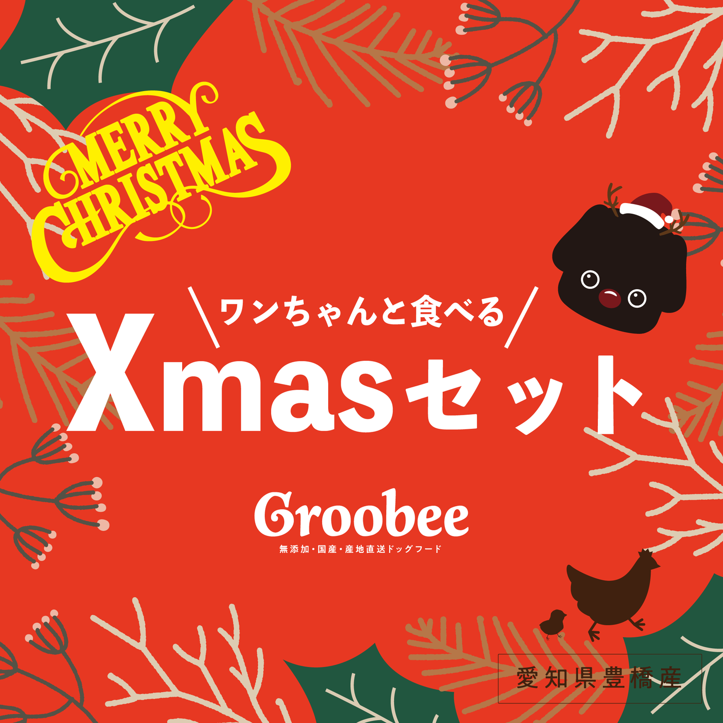 愛犬と食べるGroobee Xmasセット🎄