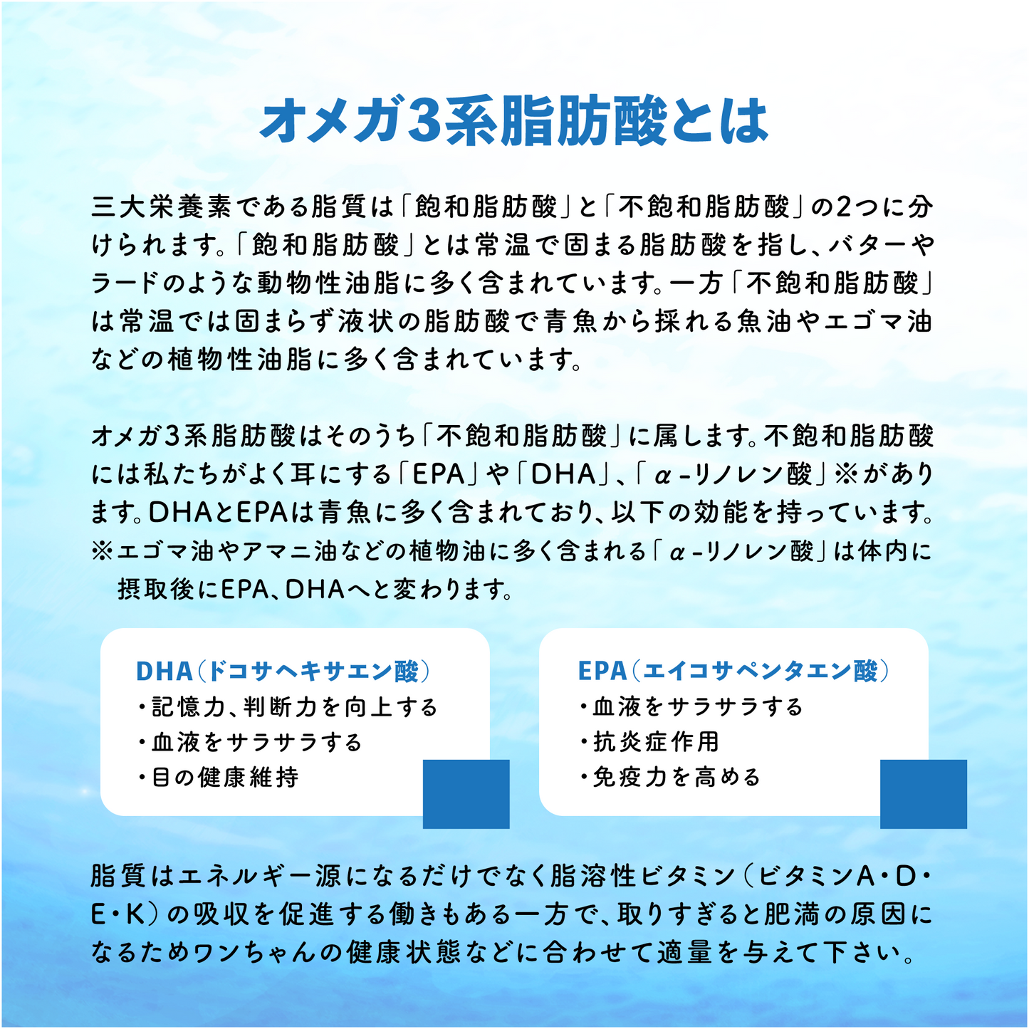 初めての天然鮮魚セット｜4pc (2～4種類)